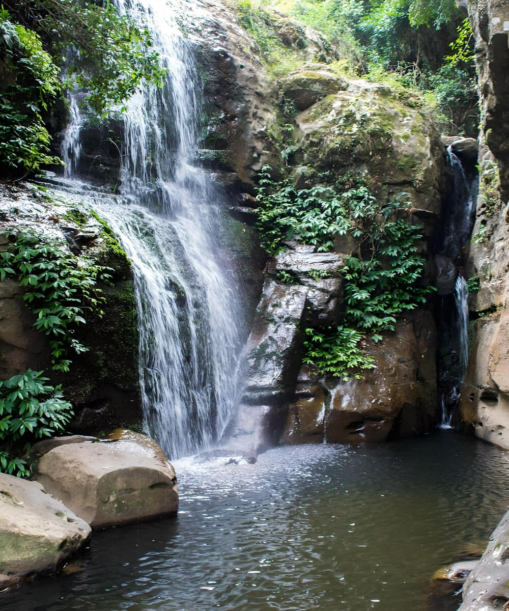 Macquarie Pass National Park