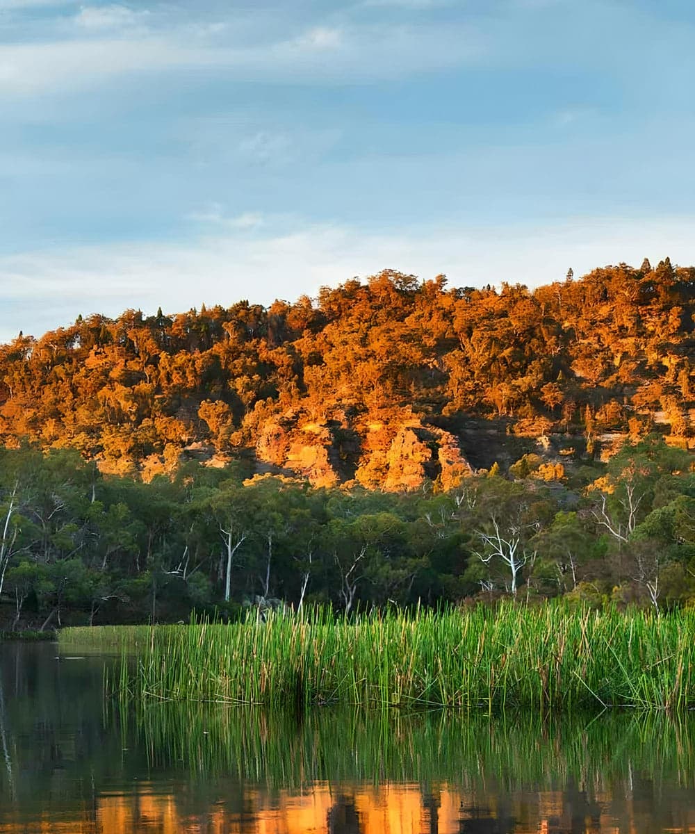 Wollemi National Park