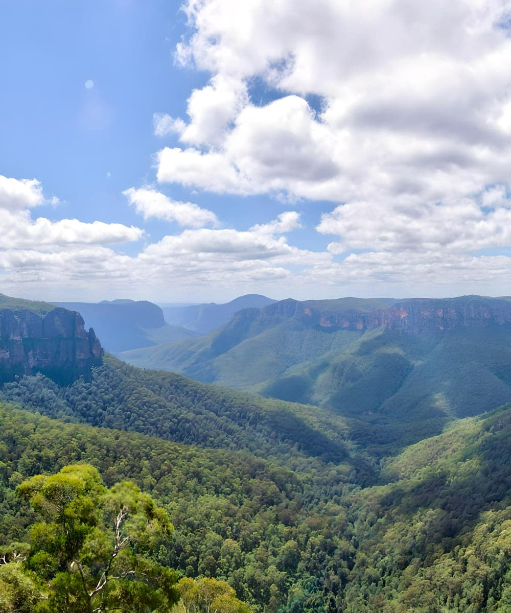 Blue Mountains