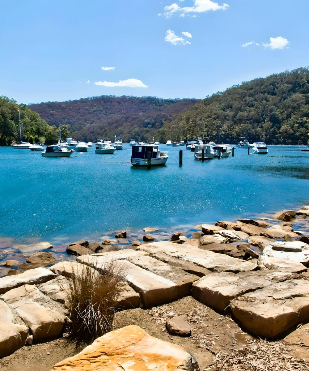 Ku-ring-gai National Park